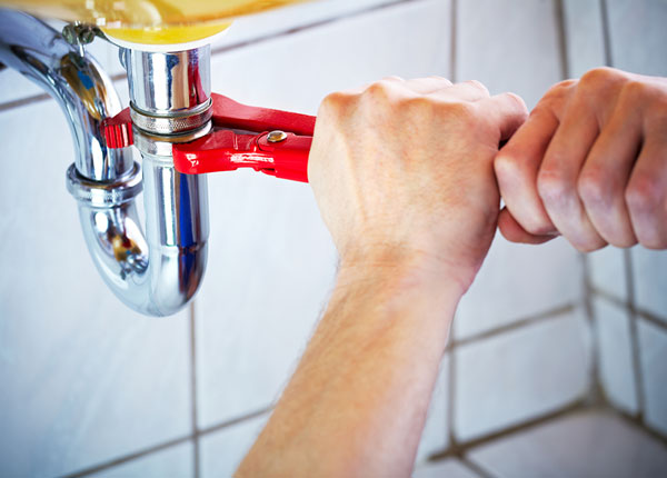 About Bivalve Plumbers